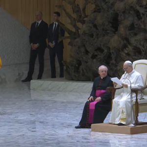 Papina kateheza na općoj audijenciji u srijedu 28. siječnja